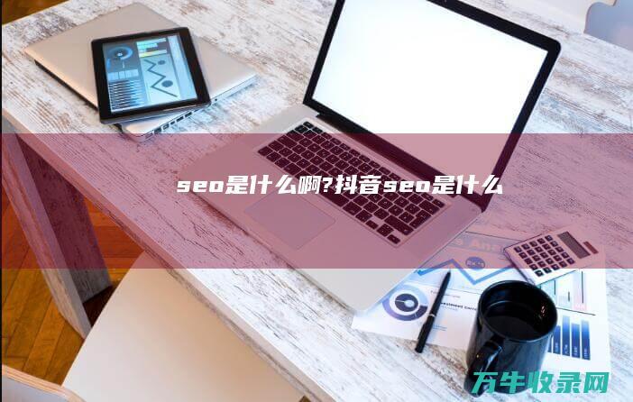 seo是什么啊? (抖音seo是什么)