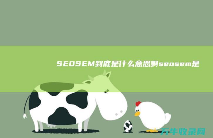 SEO SEM到底是什么意思啊 (seosem是什么职位)