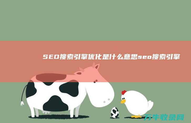 SEO 搜索引擎优化 是什么意思 (seo搜索引擎不收录)