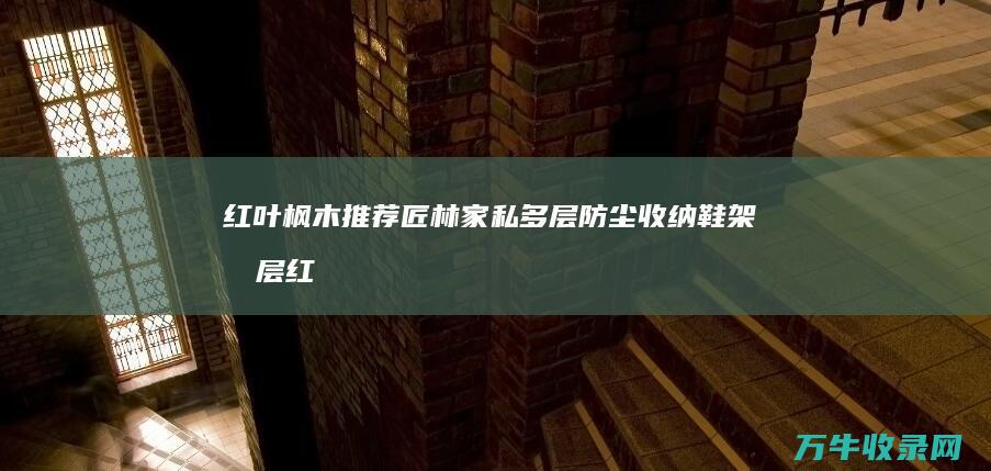 红叶枫木 推荐 匠林家私多层防尘收纳鞋架 四层 (红叶枫木推荐品种)